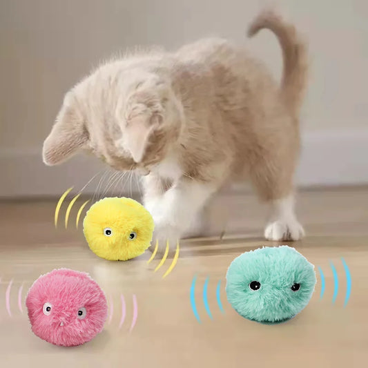 Katze Interaktiver Ball Elektrische Spielzeug