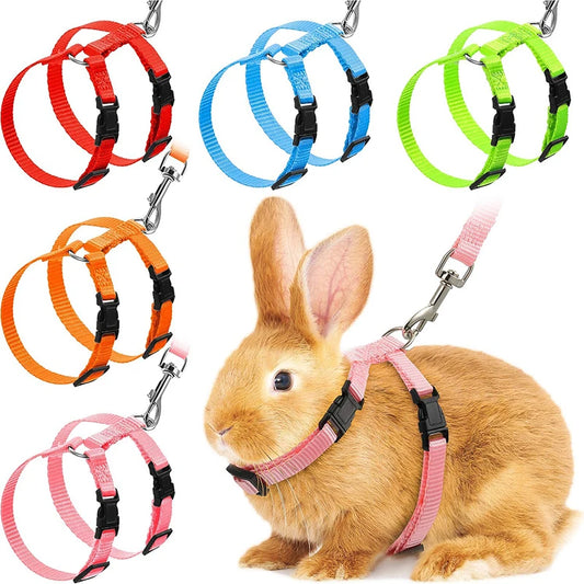 Geschirre für Hase Kätzchen